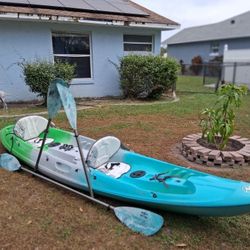 Kayak & Paddles & Plausibles