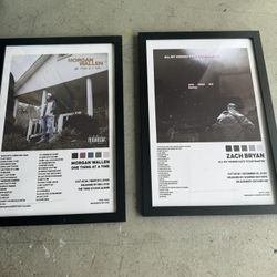 Morgan Wallen/ Zach Bryan art 