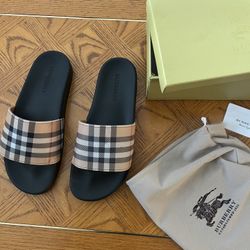 Slides 