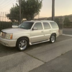 Blanco Modelo 2004