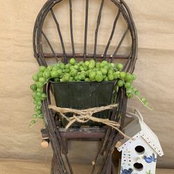 Wooden Chair With Succulent Plant 