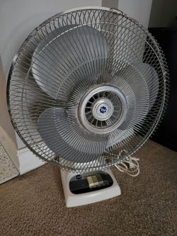 Oscillating Fan