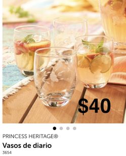 Princess House Vasos de diario