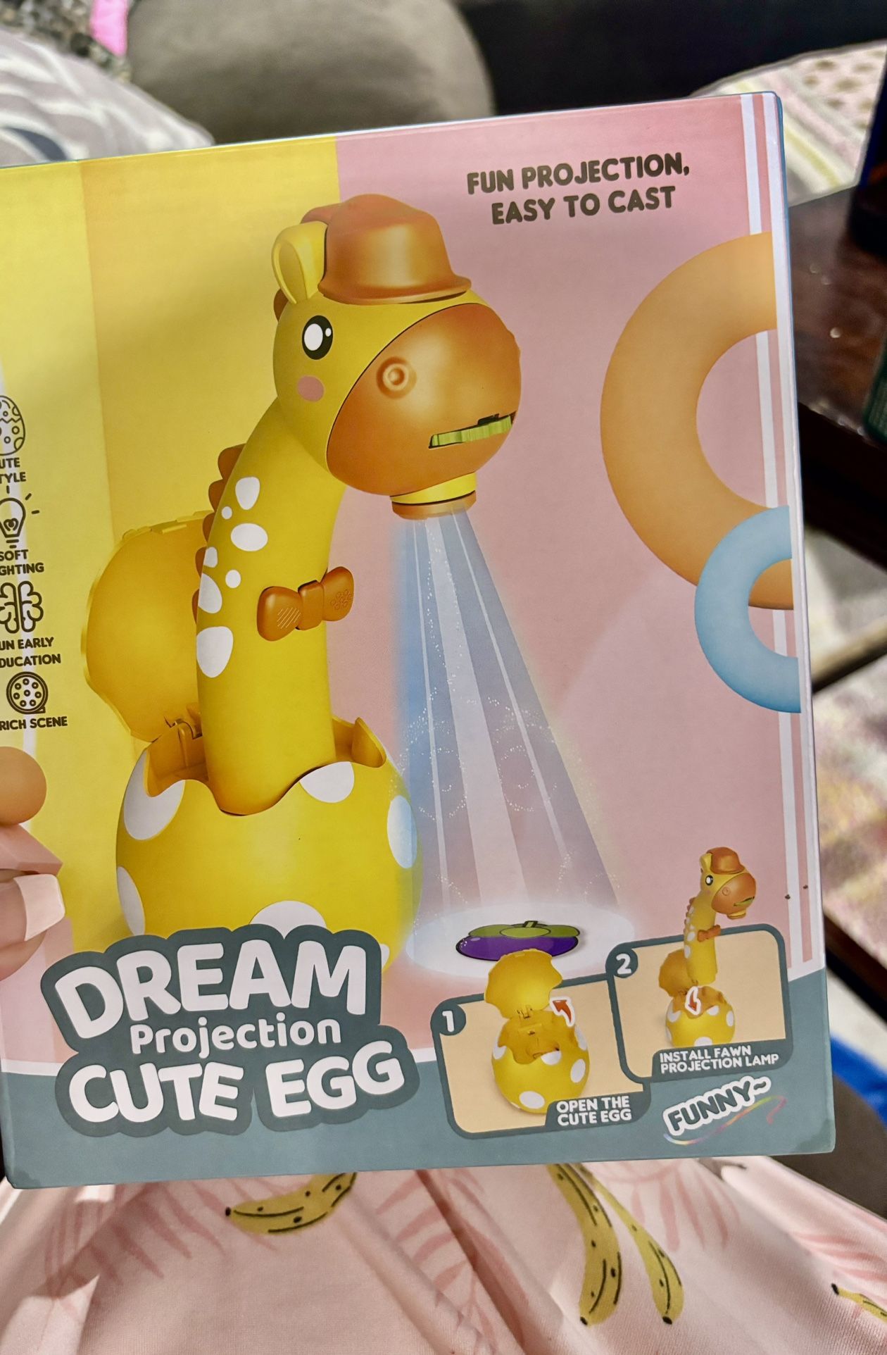 Dream Projection
