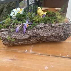ONE. Of A Kind Log Planter