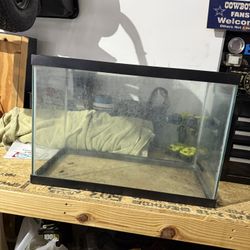 20 Gallon Tall Aquarium