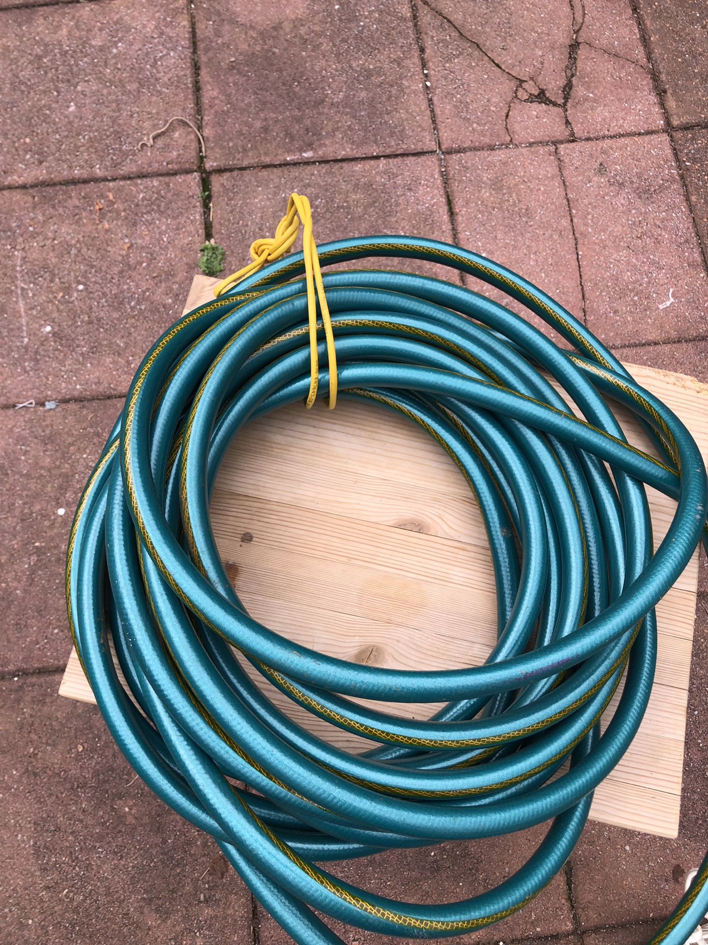 New water hose