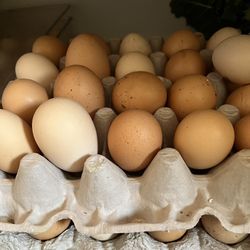 Fresh Eggs/ Huevos Frescos