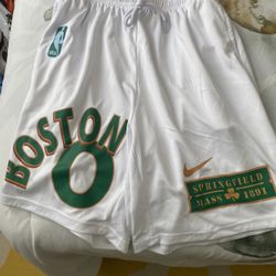 Nike Jayson Tatum/LaMelo Ball Nextstep Mesh Basketball Shorts -Size Medium 