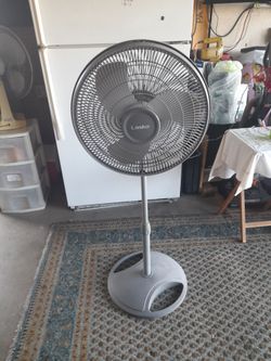 Fan