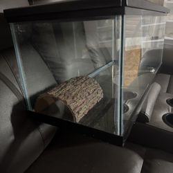 Terrarium For Reptiles 