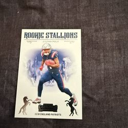 Jaylynn Polk NFL Card