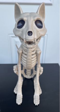Halloween Skeleton Cat