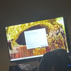 Gaming Monitor 100hz