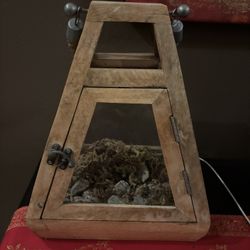Plant Mossarium/terrarium