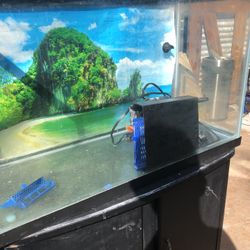Fish Tank And Lizard Tank 