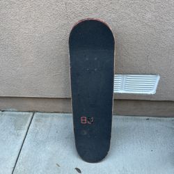 Skate Board 
