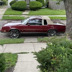 81 Cutlass Clean In And Out 
