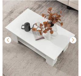 41 in. L White 12.5 in. Rectangle Particle Board Wood 2-Tier Modern Coffee Table with Storage Shelf