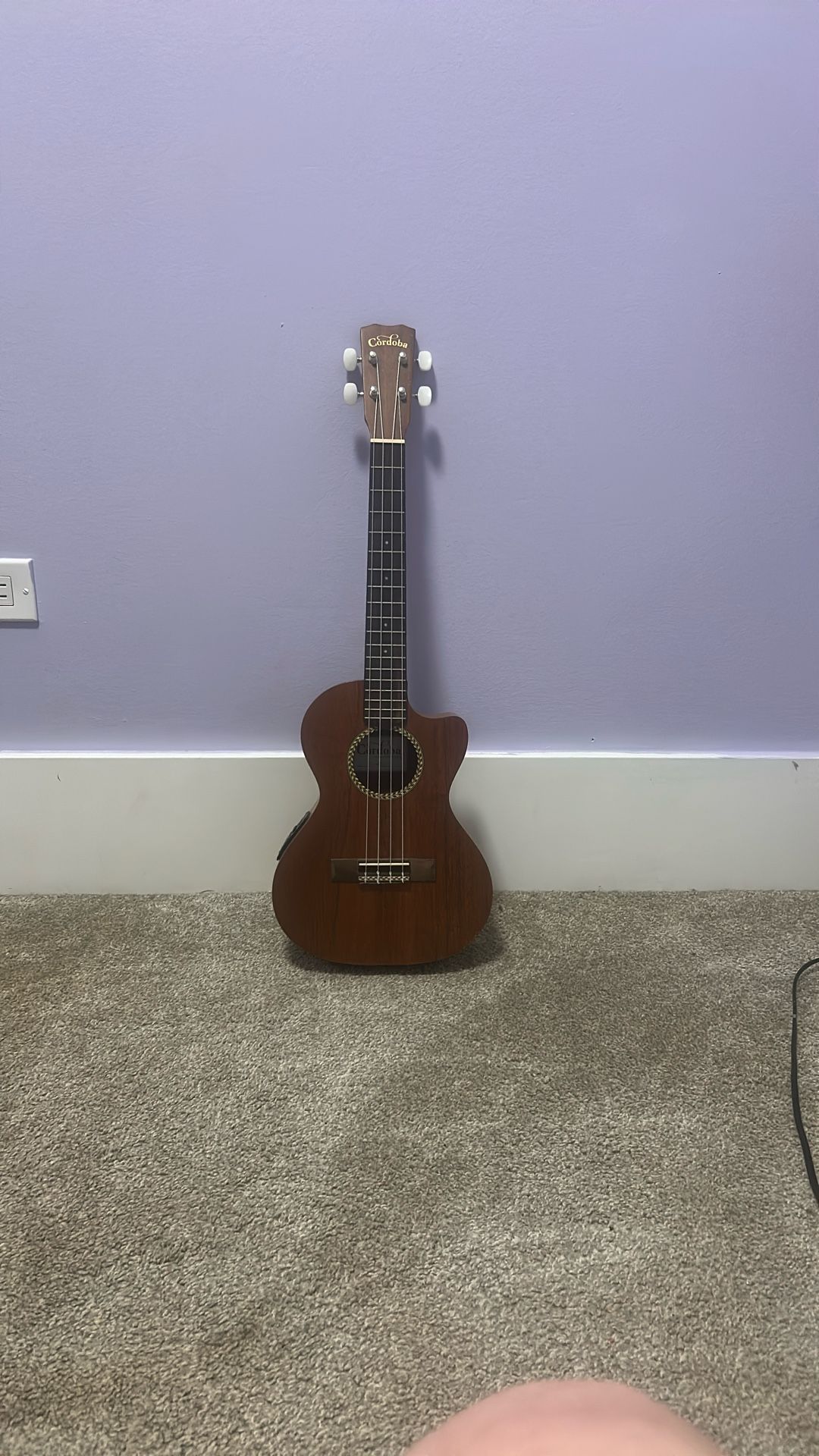 Beautiful Electric Cordoba Ukulele