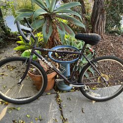 Trex Mountain Track Bicycle 