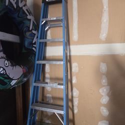 Werner 8ft Ladder