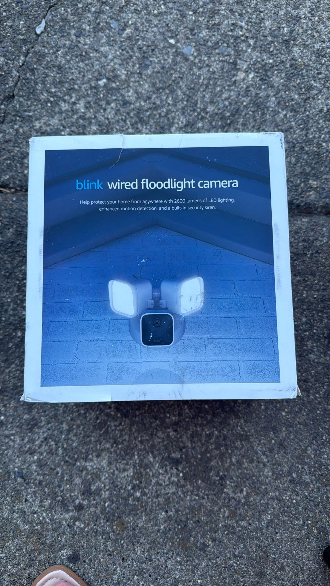 Camera Blink Floodlight