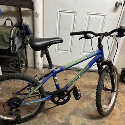 Kid Mountain Bike
