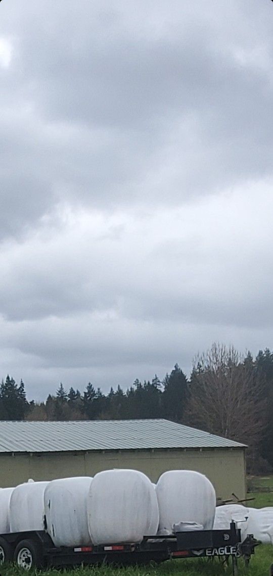 5 Organic Wrapped 2nd Cutting Hay Round Bales Left - Cows, Price Is Per, Delivery Is Extra