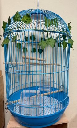Bird Cages