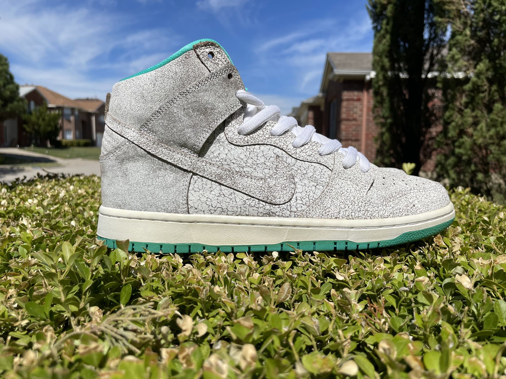 SB DUNK