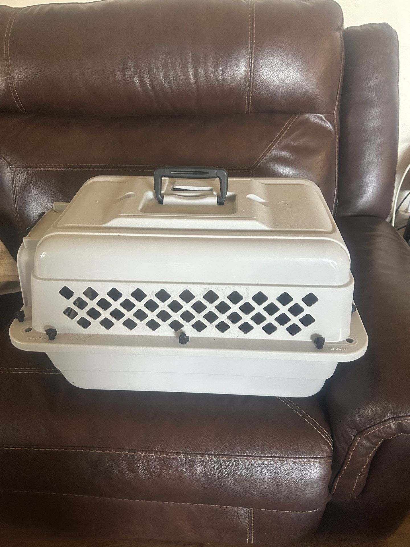 Dog Kennel