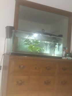 Glass Aquarium Fish Tank with Filter