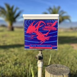 Pokemon Cards: Darkness Ablaze