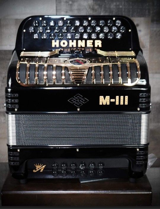 Accordion Accordionista