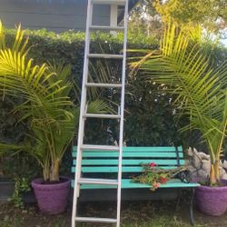 Ladder For Sale 