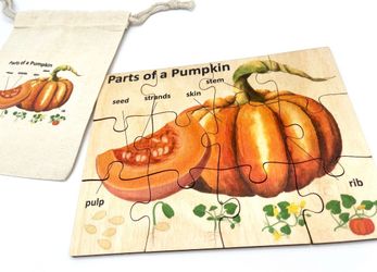 Wood pumpkin anatomy puzzle