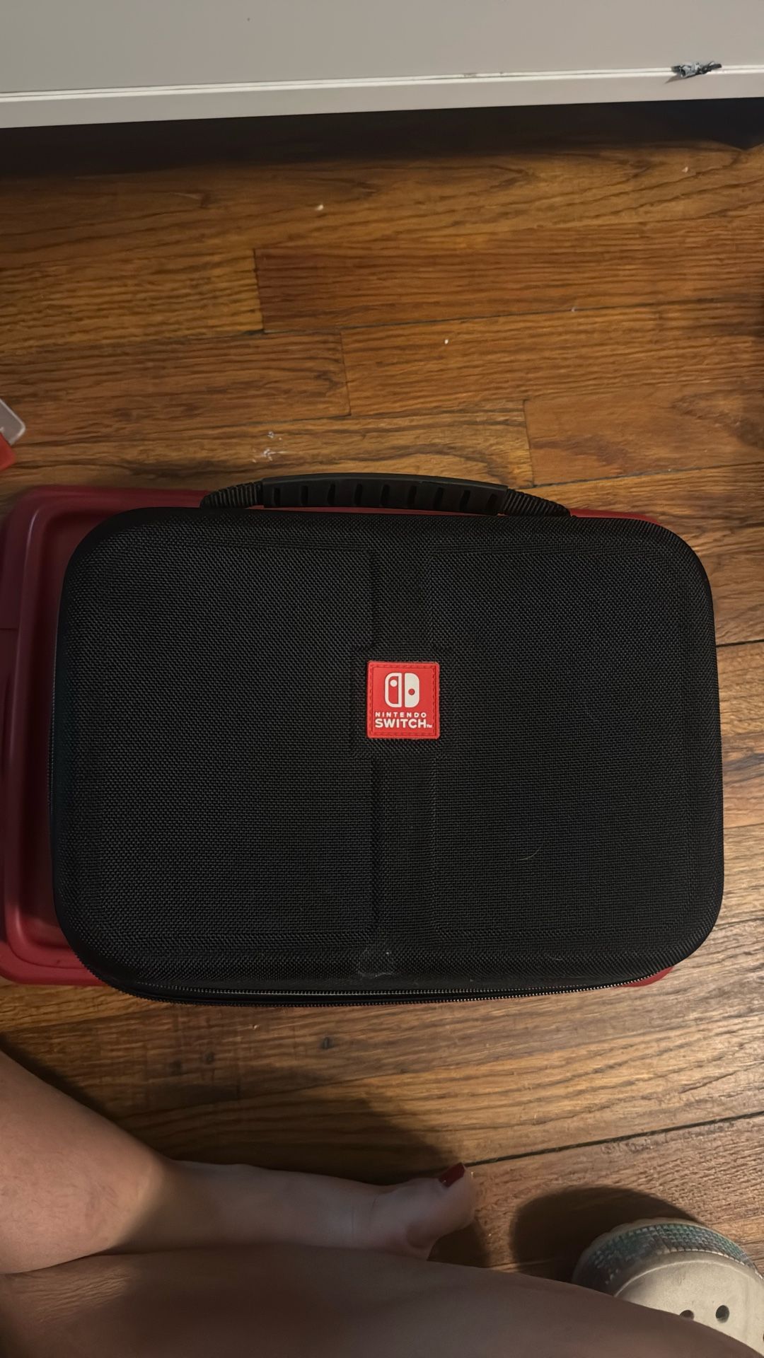 Nintendo Switch Traveling Case