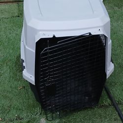 Large Dog Kennel