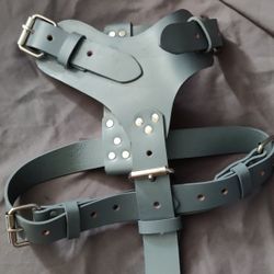 Dog Harness