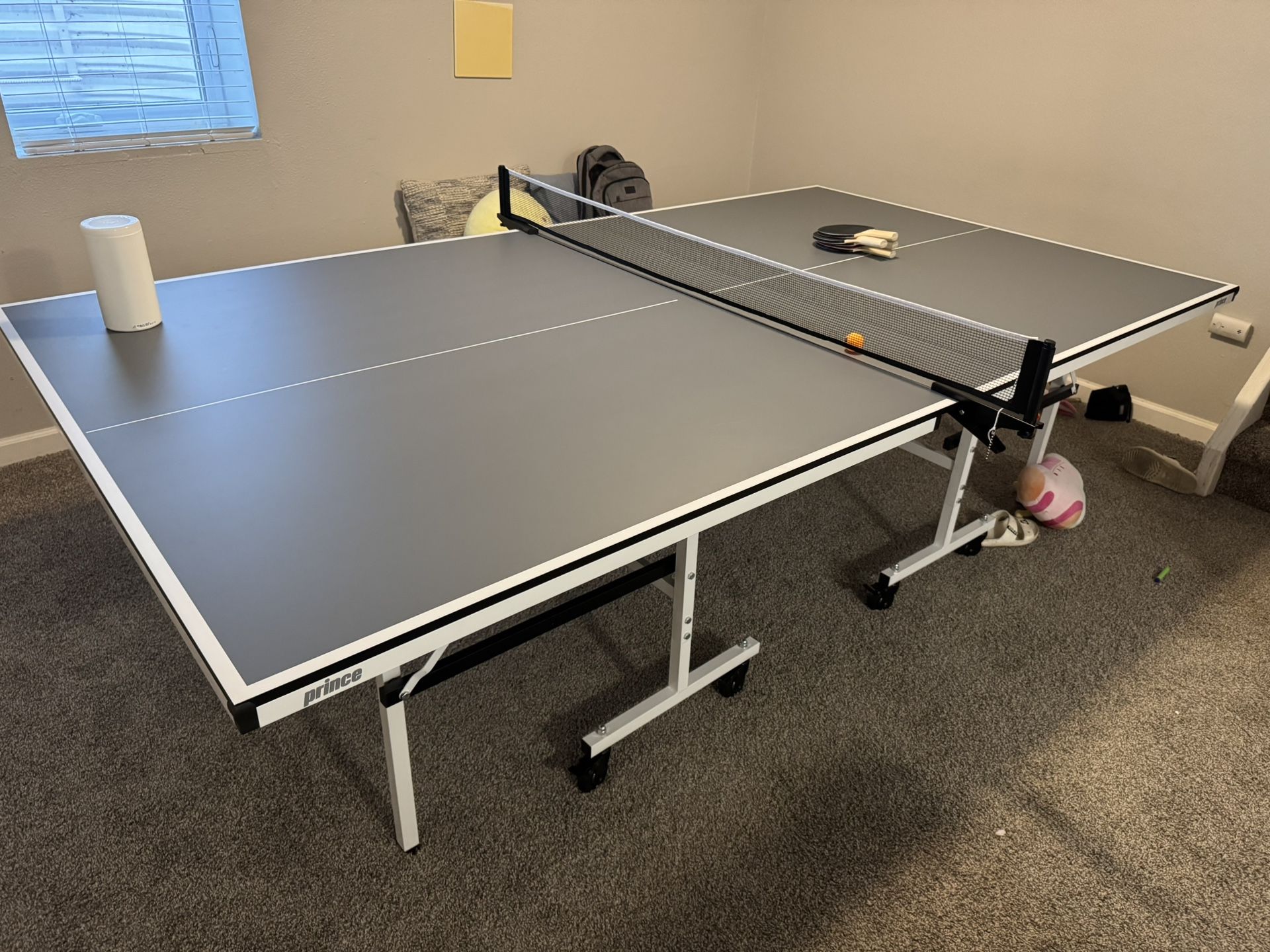 Ping Pong Table