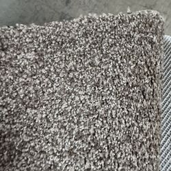 Brand New Carpet 