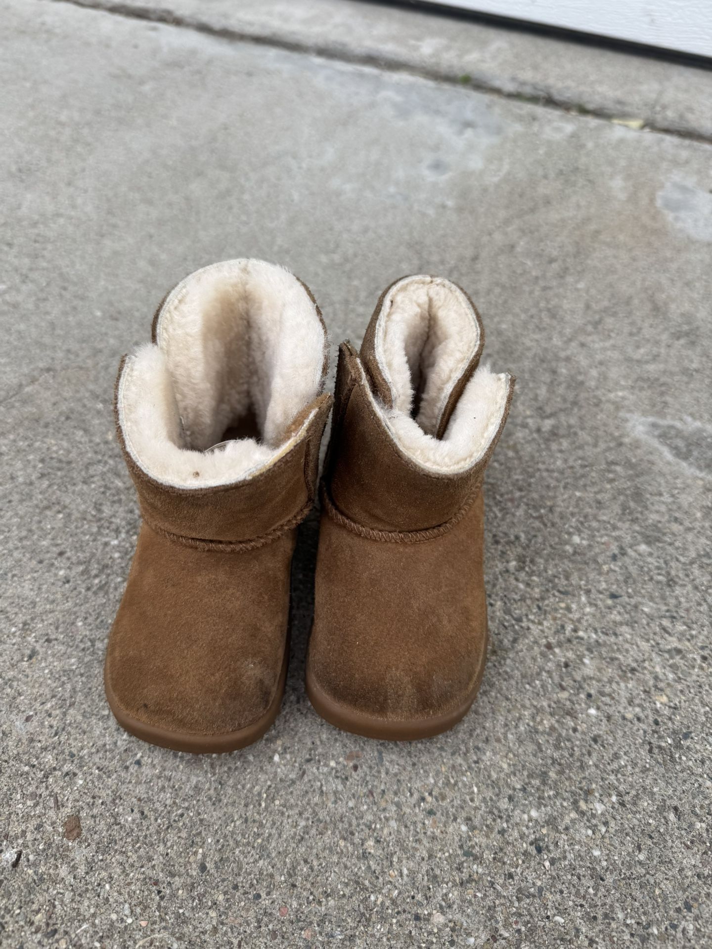 Toddler Uggs