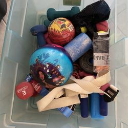 Weights And Toy Balls 