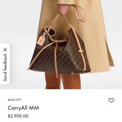 Louis Vuitton CarryAll MM Handbag - NEW, out-of-box only for photos
