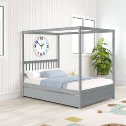 79.5in.Lx57in.W Gray Pine Full Size Canopy Kids Bed with Trundle