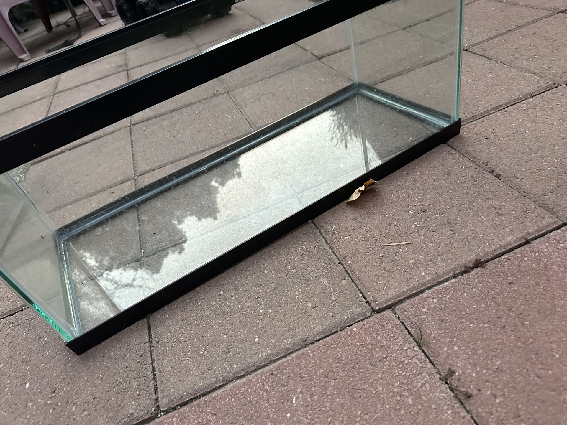 Turtle Tank
