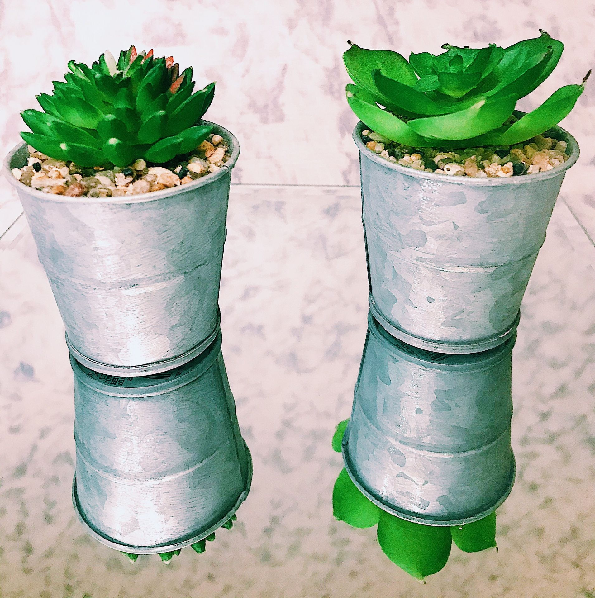 Fake Succulent Plants (TWO)