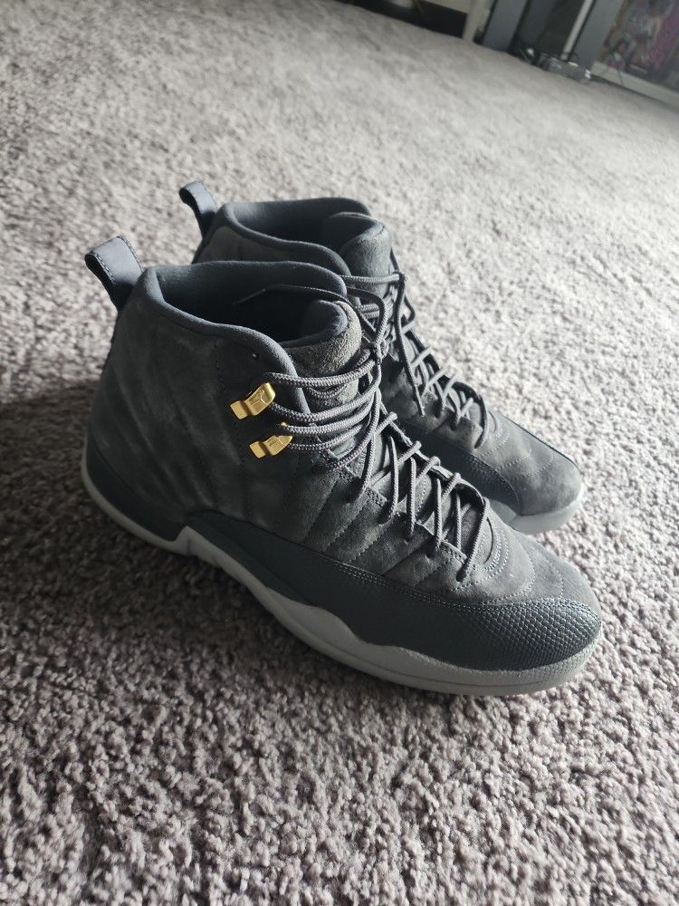 Size 11 Mens Suede Dark Grey Jordan 12s