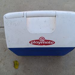 IGLOO PLAYMATE COOLER